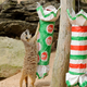Illustration for article titled Merry Meerkats Celebrate Critter Christmas